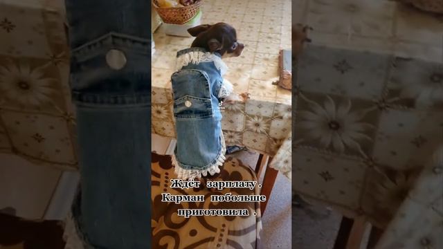 D0e133275e41e381ba109d1e398bbf01