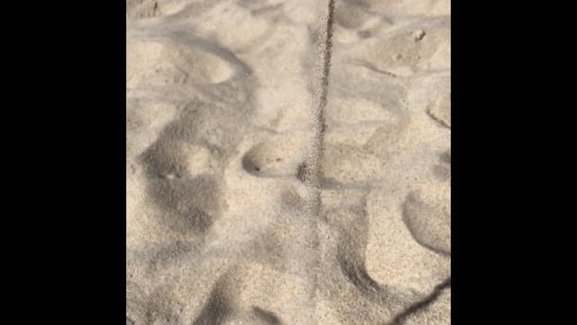 Kaliningrad. Путешествие из Санкт-Петербурга в Калининград