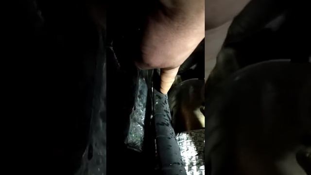 Автолюбовь