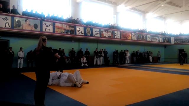 г. Владимир 2015г