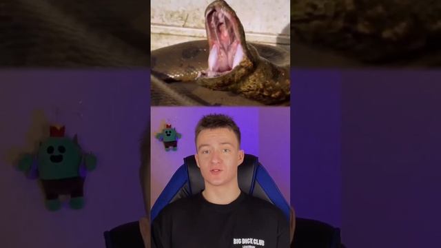 Секреты Умелых Рук