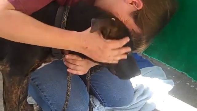 A4753764 Chichi