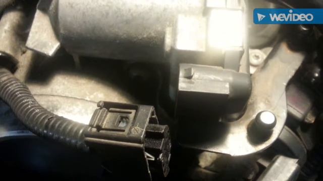 Porsche-радость