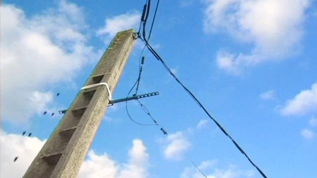 B12a10081ecc8b19261e929859dca487