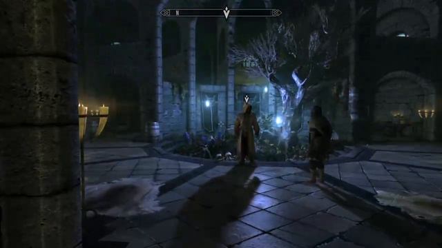 Neko-live SUR SKYRIM OMG