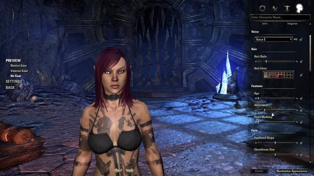 ESO- Creating My Virtual Girlfriend! ;)