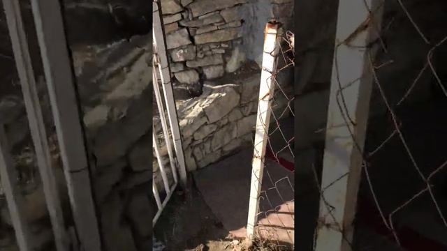 Мечеть имама Шамиля