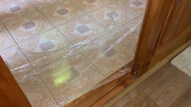 Кот VS Невидимая стена | Cats VS Invisible Wall