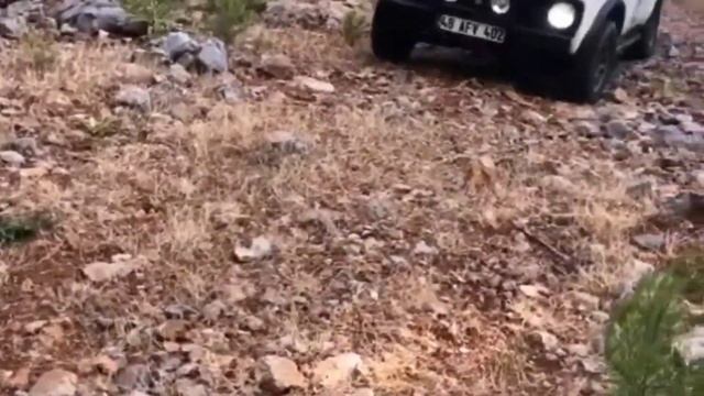 48 Power OffRoad Team // Lada Niva, Suzuki Vitara, Jimny, Tata Xenon, Jeep Grand Cherokee!