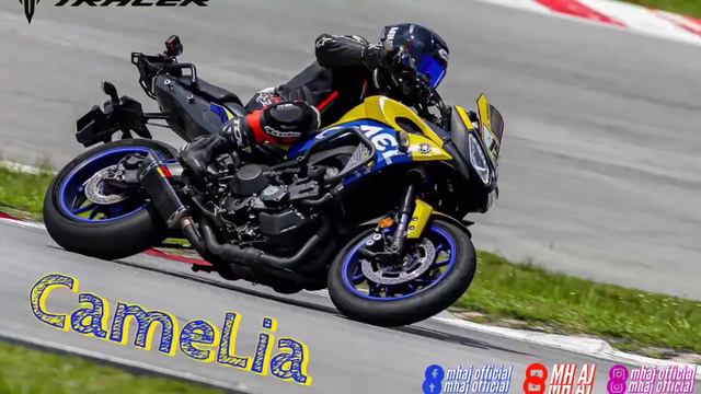 Camelia 2.0 // New Looks : As At Sep 2021