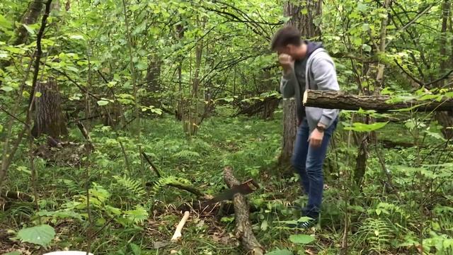 Этап 1.  Посадка орхидей в аквариум. Собираем мох в лесу и нарезаем пеньки.