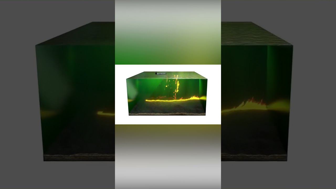 Lowrance / ActiveTarget™ - 3D визуализация
