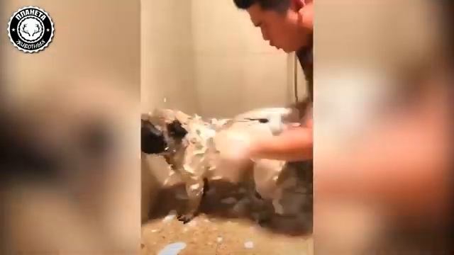 295704f14081dbf184150f608375e11e