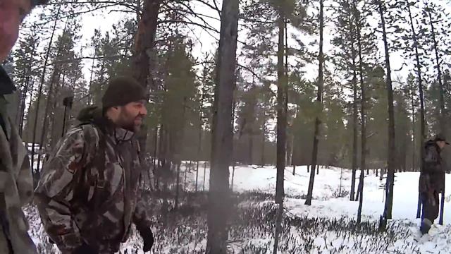 Птица Удача. Осенняя охота на боровую дичь.