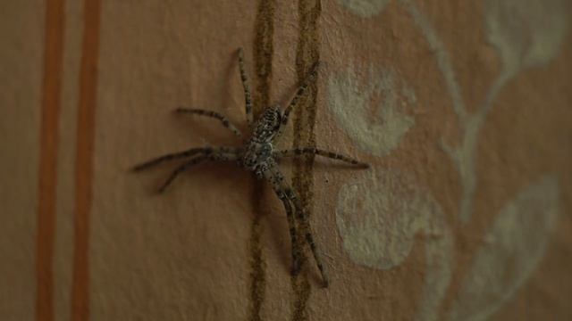 964597c6d6e1a73c9e65eb9f37954bdc