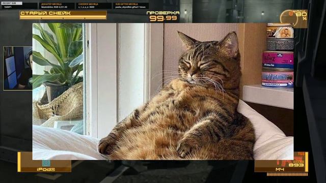 #38. BlackSilverUFA - СТАРЫЙ ВОИН! \\ Metal Gear Solid 4 Guns Of The Patriots