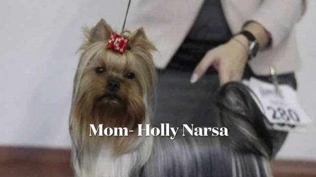 Кенди и её родители