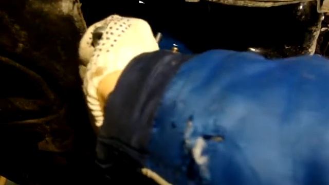 Автомобильная харизма