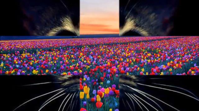 American Inspiring Images/Американские вдохновляющие картинки