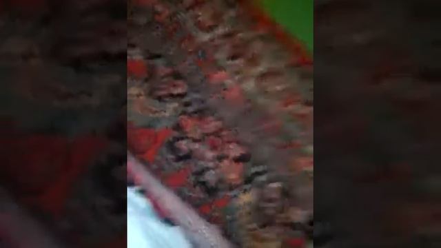 Здоровье и красота в период беременности