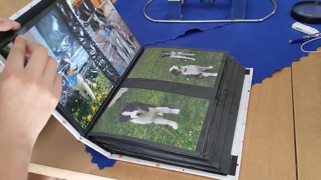 Рки /Карин учит русский язык. /Karin Lernt Russisch.