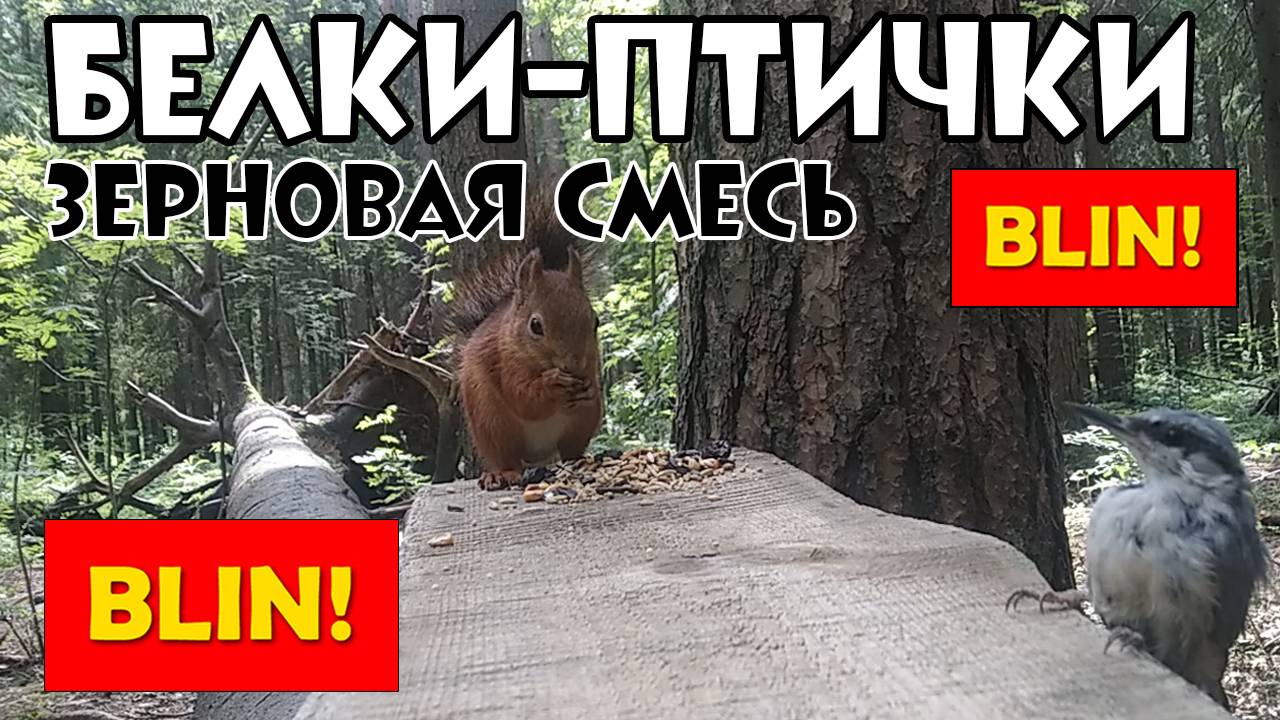 F26d7c48f040ba4ef0d01edd1c37aec2