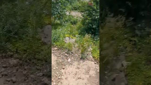 Последняя часть.Отдых на озере Якты-куль(Банное) 5 день#5часть#конец