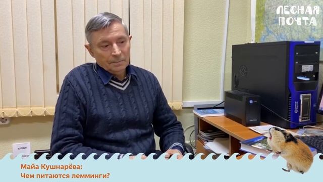 Лесная почта — Чем питаются лемминги? Геннадий Катаев
