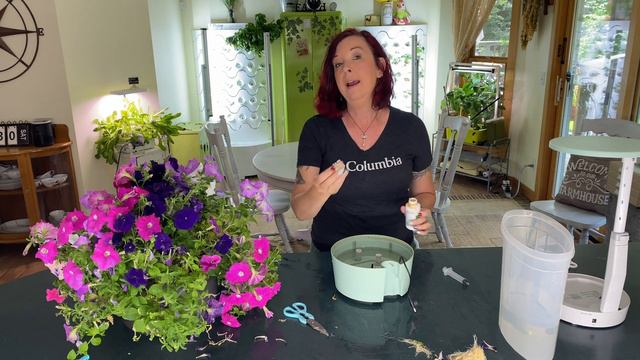 HOW TO MAKE AEROGARDEN INDOOR GARDEN PETUNIAS LAST!
