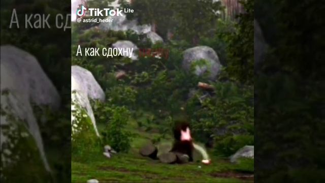 прикол из  тик тока