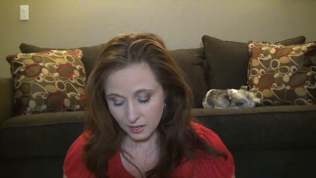 Homesense Decor/Food Haul