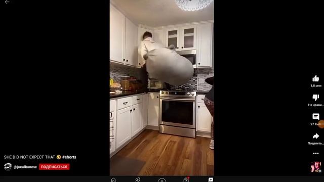 Самая большая жопа мира