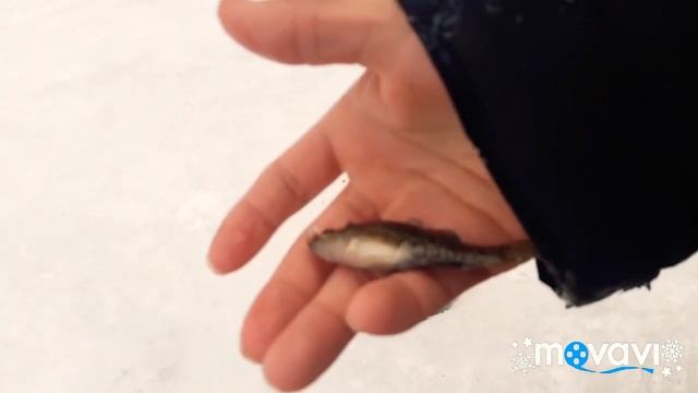 Афигеть!!!От этого пруда я токого неожидал!!!Он заставил нас побегать, здесь полно рыбы!!!