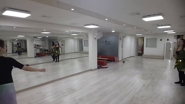 Busan Narcisse Bellydance Priviate 1:1 Open Class (Rythem&combination) Video