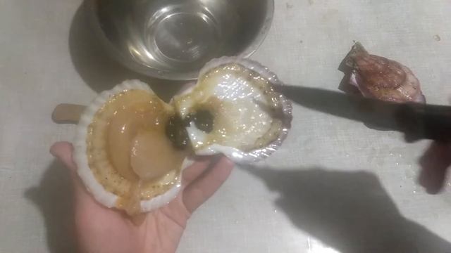 Морепродукты. Приморский край: гребешок приморский гребешок Свифта и гребешок японский