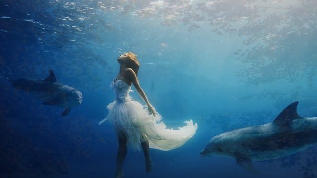 Relaxing Piano Music: Sleep Music, Meditation Music, Beautiful Relaxing Music ★48