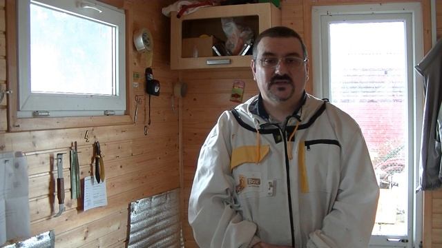 Как спасти слабую семью пчёл с дорогой маткой