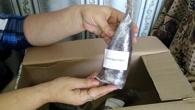 РАСПАКОВКА ПОСЫЛКИ С САЖЕНЦАМИ