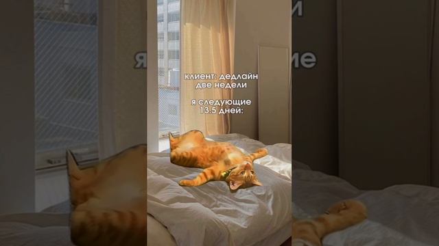 Ac46ae14aebb4b1fb5405e5cb65483db