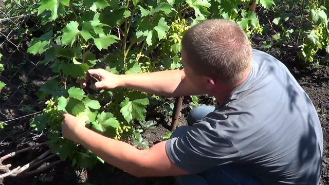 459bd182c6f825bb4070dc48c1b42499