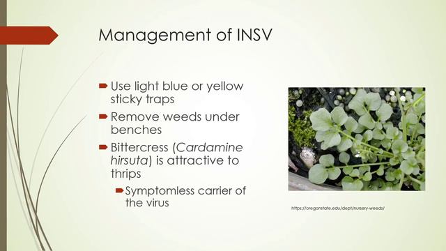 Viruses Part 2 HORT 118