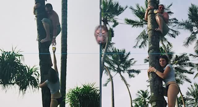 5e282bd303382c6d2b9fcd7a2ab41d12