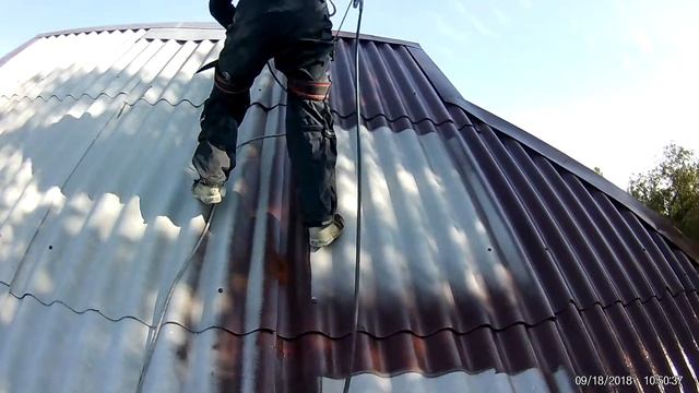 Процесс оживления