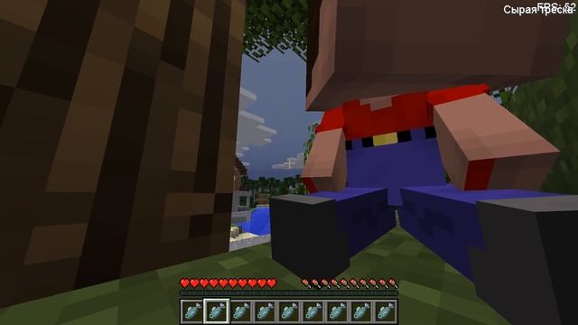 КАК МЕНЯЛАСЬ ДЕВУШКА КРИПЕР КОШКА ОЦЕЛОТ МОБ И ЕЁ ЖИЗНЕННЫЙ ЦИКЛ TNT В МАЙНКРАФТ ЭВОЛЮЦИЯ MINECRAFT