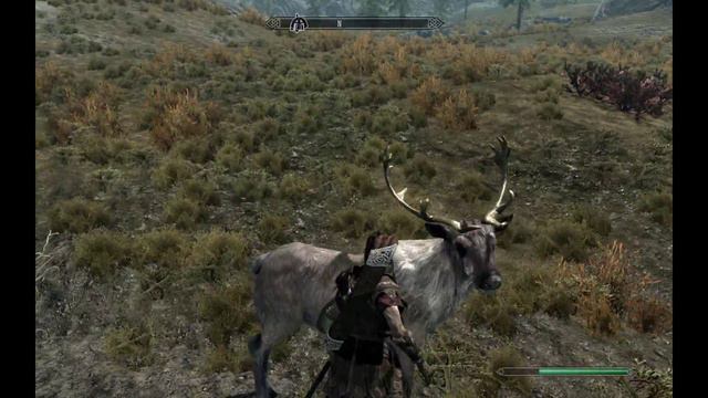 Skyrim - Character Animation Bug