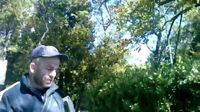 парковка Воронцовский дворец