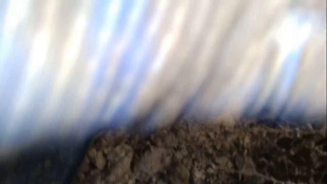 Клад монет средневековья... Окрестности Львова...