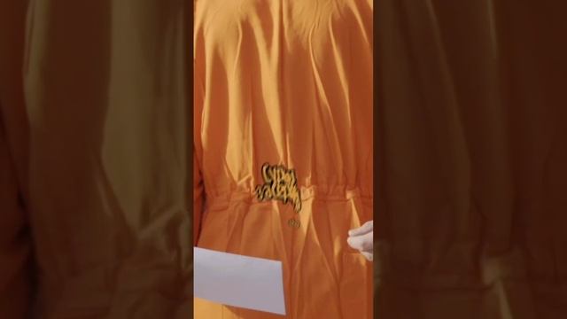 video5341685490716257911