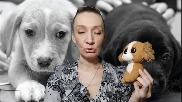 Добрая сказка Добро.