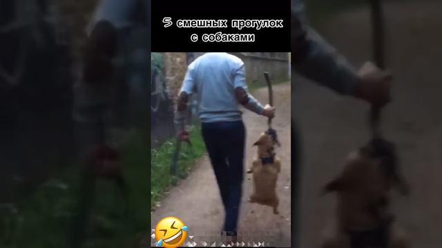 025ee68edf3255375c08a7410dd13eab